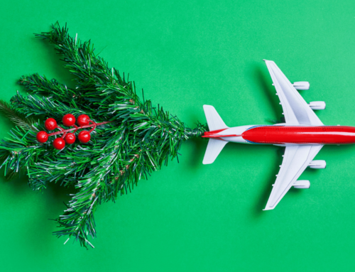 Holiday Gift Ideas for Your Favorite Traveler!