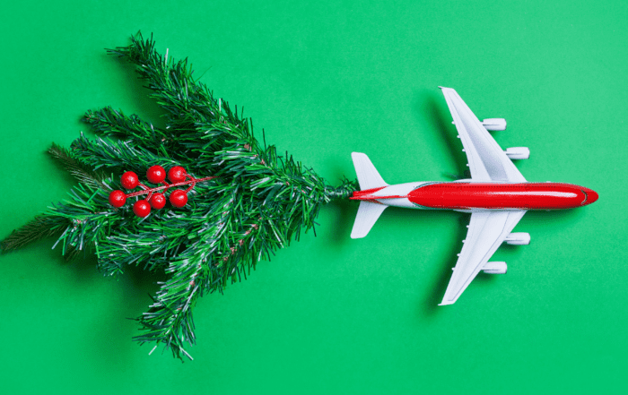 Holiday Gift Ideas for Your Favorite Traveler!