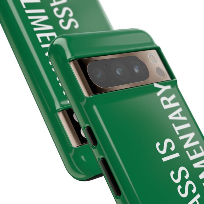 'The Sass is Complimentary' Phone Case (Green) - Image 122