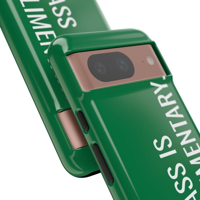 'The Sass is Complimentary' Phone Case (Green) - Image 126